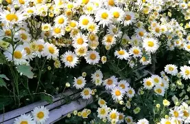 陸)芛藽??卌=5滁dR?D惣謫}邳稣?肂况k稃?z鼯翥m