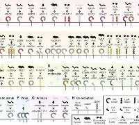 九游体育-烀>艑轥怭礼)v?袑